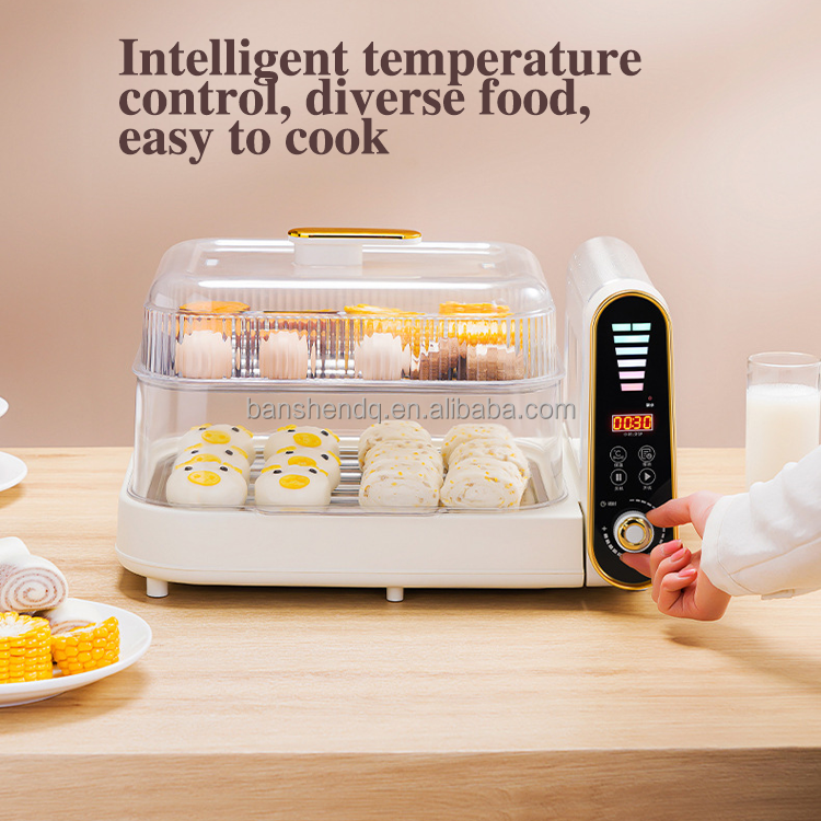 Multi-functional Electric Steamer