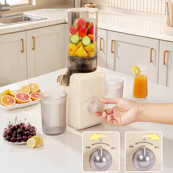 New Arrival for Home Use Low Noise 100w Durable Kitchen Gagdet 220v EU Plug Fresh Healthy Juicer Extractor Machine