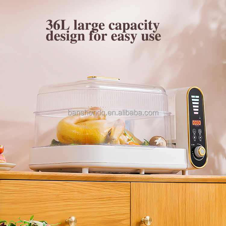36L Large Capacity Timing Steam Cooker 2 Layer Home Vegetable Meat Sea Food Electric Steamer