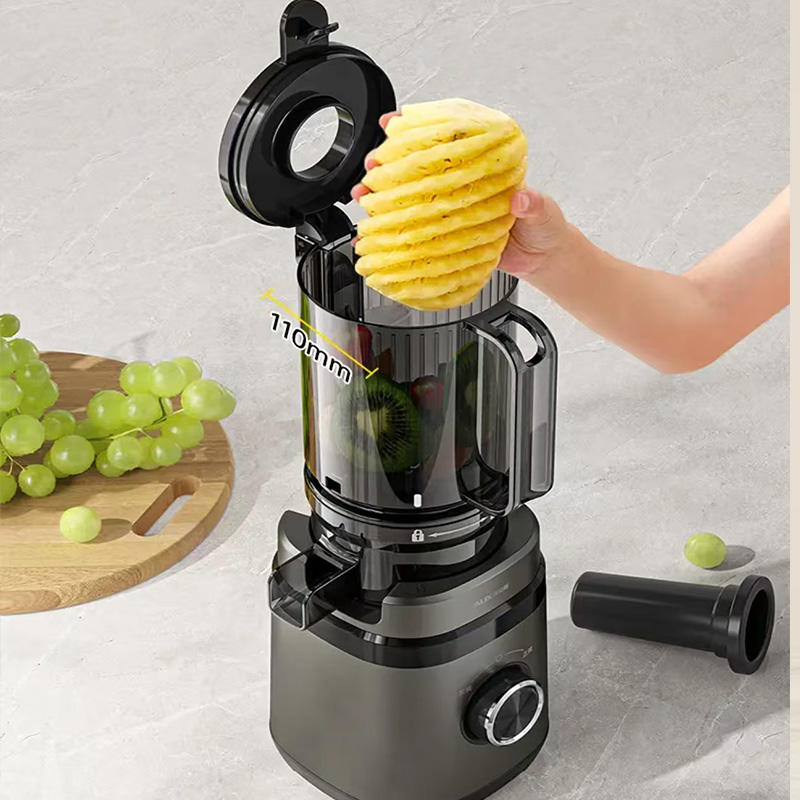 Factory Direct Sales Fruit Slow Powerful Automatic Juicer Machine