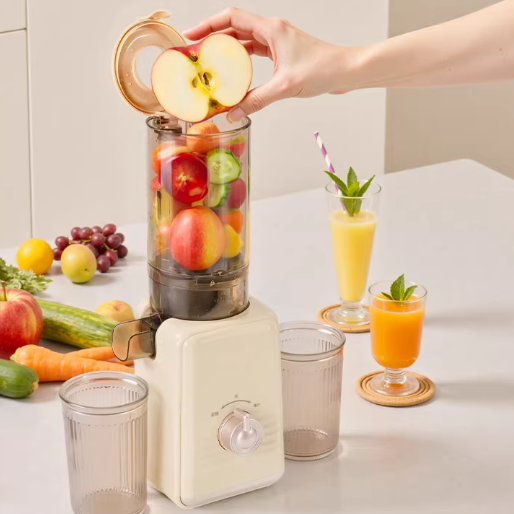 New Arrival for Home Use Low Noise 100w Durable Kitchen Gagdet 220v EU Plug Fresh Healthy Juicer Extractor Machine