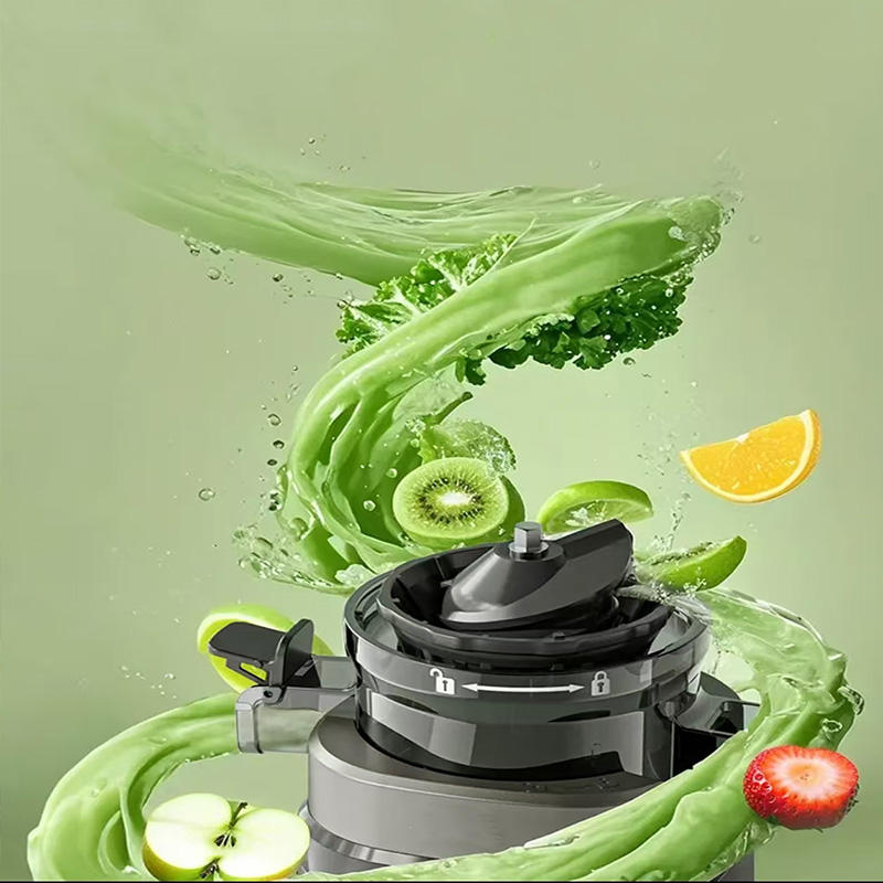 Factory Direct Sales Fruit Slow Powerful Automatic Juicer Machine